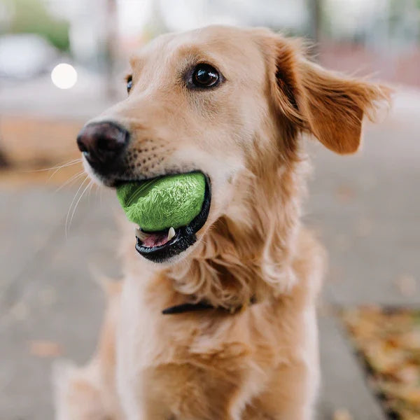 Fun Interactive Dog Ball Toy - Glamry