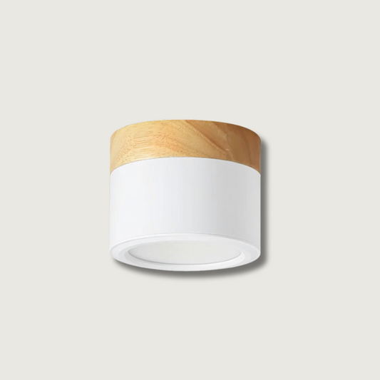 Sleek Modern Ceiling Spotlight with Focused Lighting - Glamry