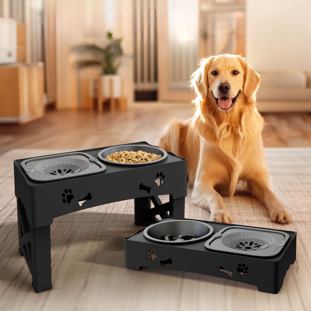 Pet Raised Food Bowl with Adjustable Height feeder - Glamry
