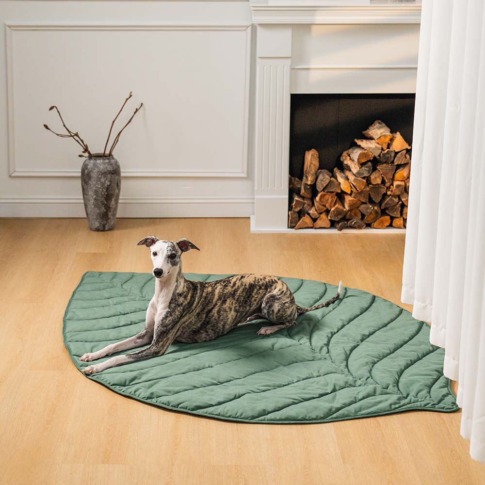 Plush Pet Blanket for Dogs and Cats