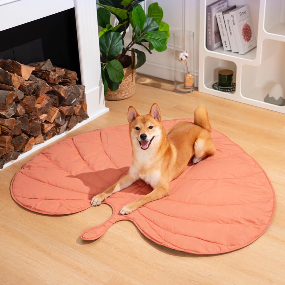 Plush Pet Blanket for Dogs and Cats