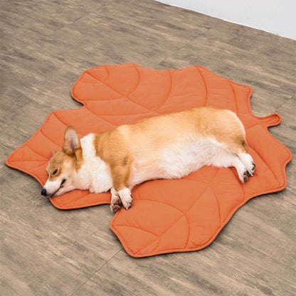Plush Pet Blanket for Dogs and Cats