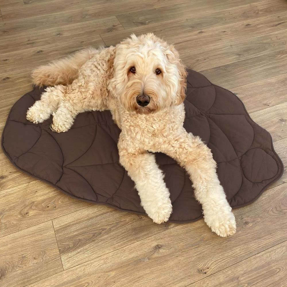Plush Pet Blanket for Dogs and Cats