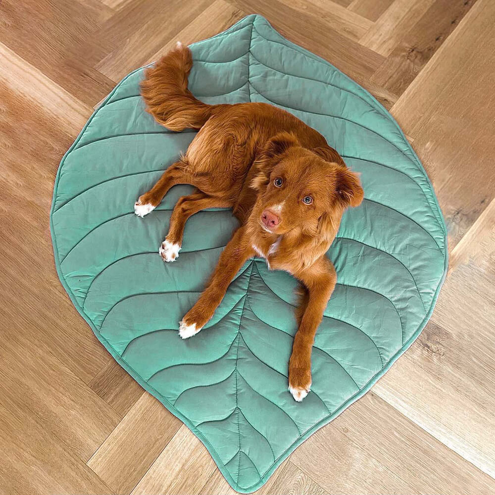 Plush Pet Blanket for Dogs and Cats