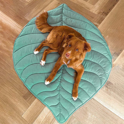 Plush Pet Blanket for Dogs and Cats