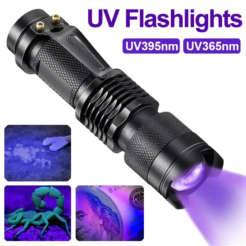 Powerful UV Pet Stain Detection Lamp - Glamry