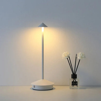 Bright Cordless LED Outdoor Lamp