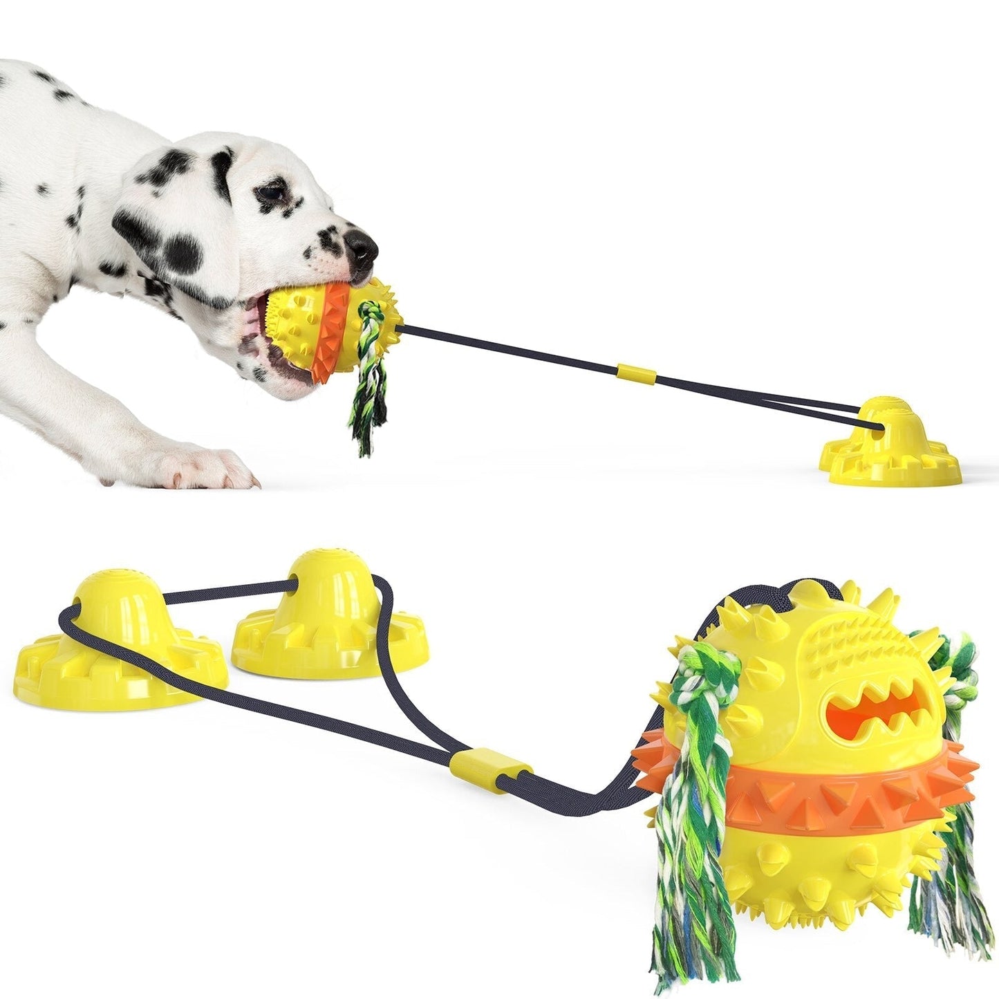 Fun Pet Toy with Treat Dispenser and Rolling Balls