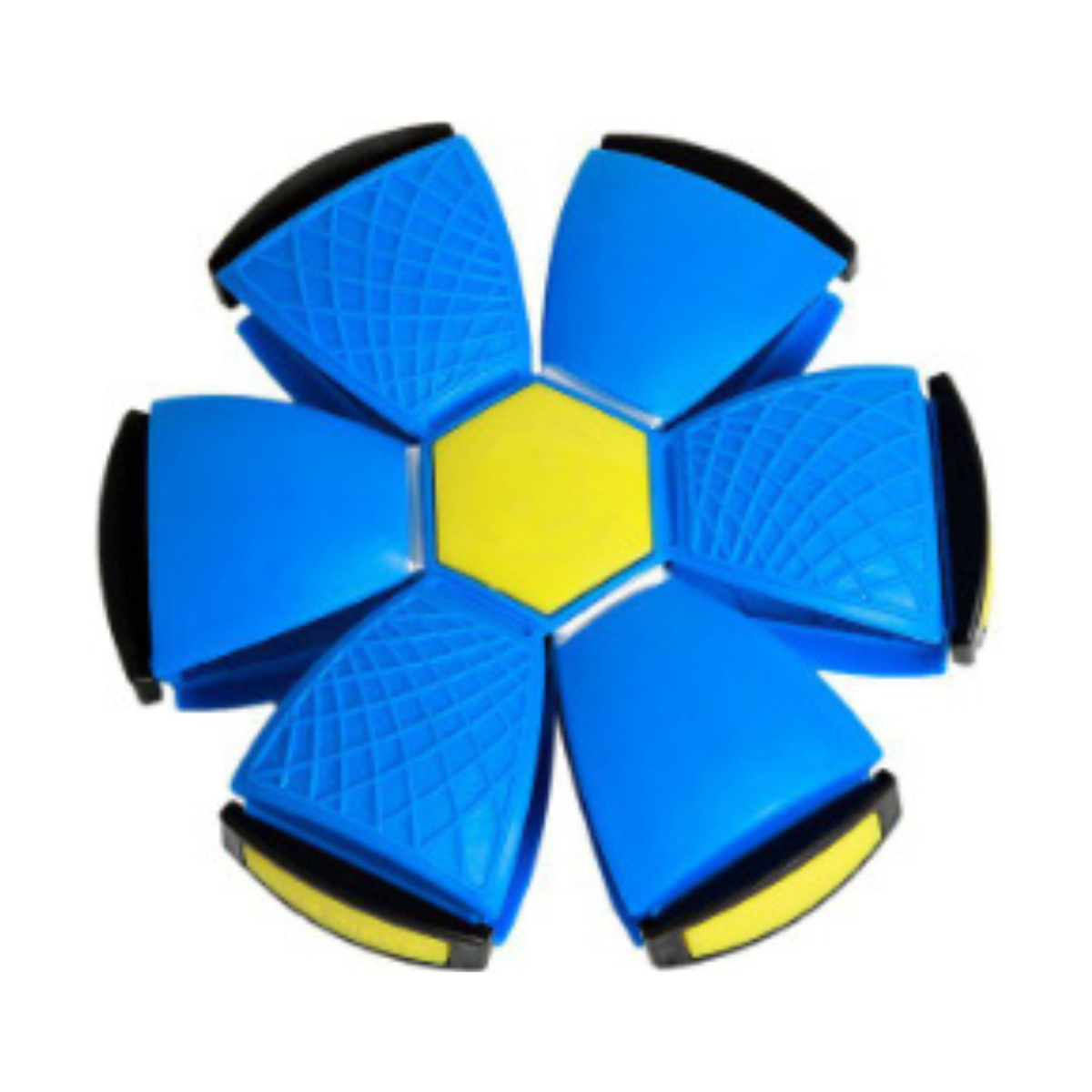 Fun Interactive Bouncing Ball Toy