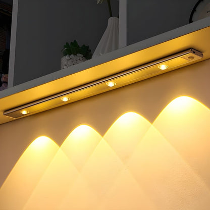 Motion Activated LED Ceiling Light