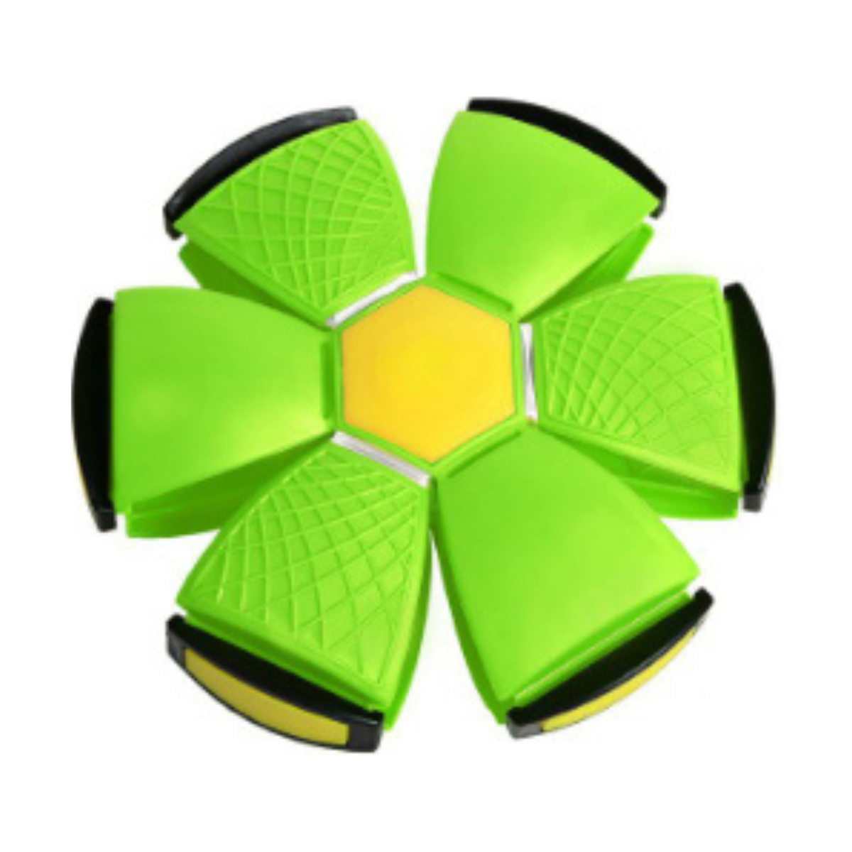 Fun Interactive Bouncing Ball Toy
