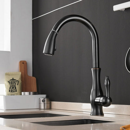 Flexible Long Reach Kitchen Faucet