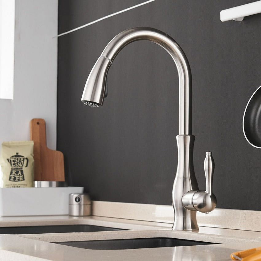 Flexible Long Reach Kitchen Faucet