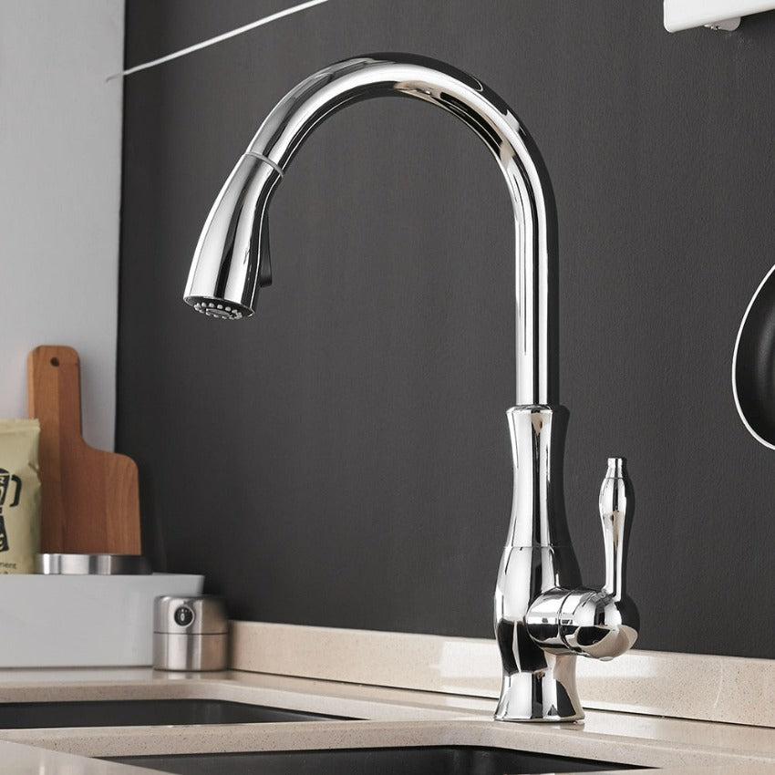 Flexible Long Reach Kitchen Faucet