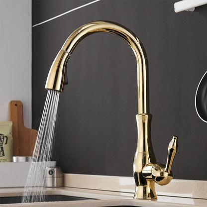 Flexible Long Reach Kitchen Faucet