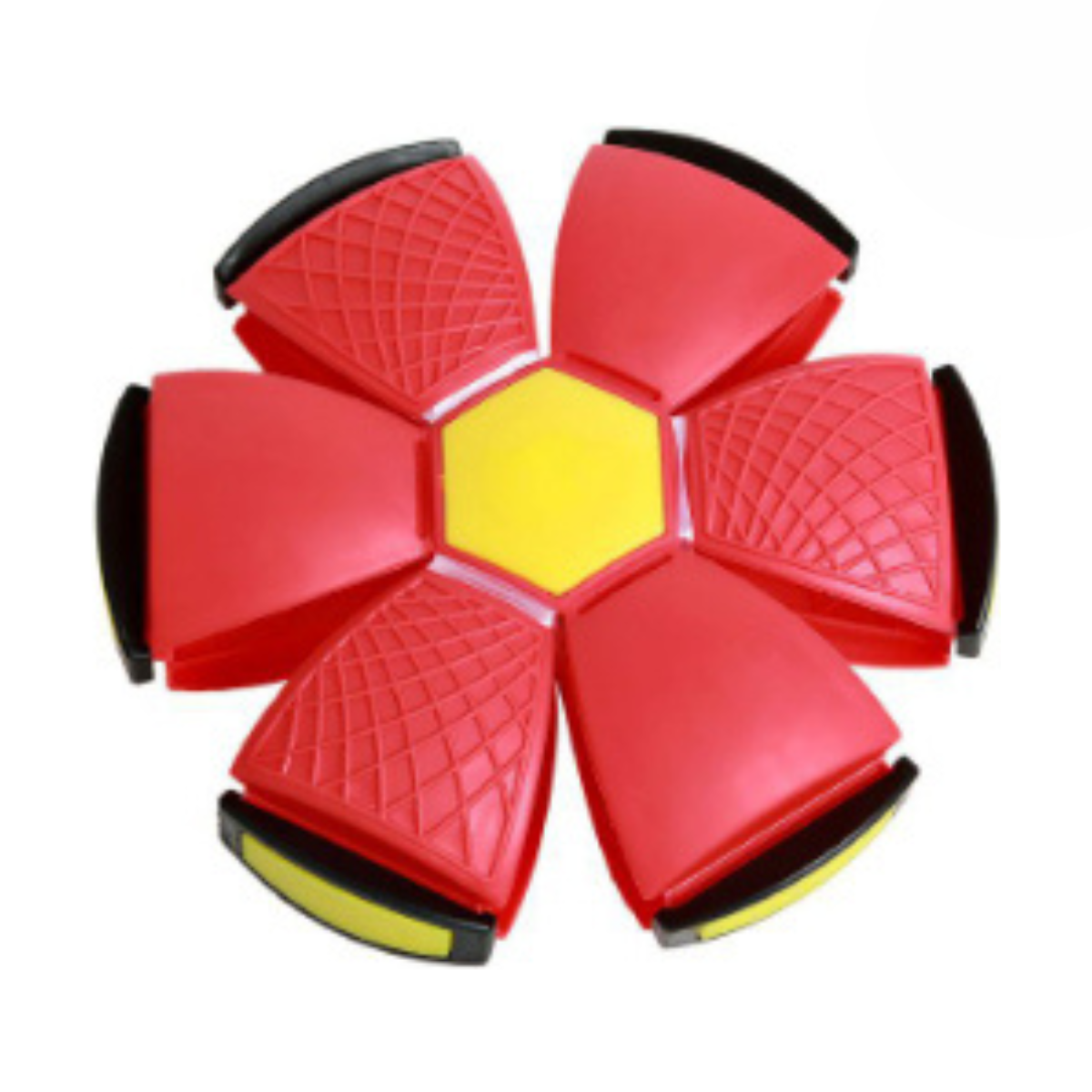 Fun Interactive Bouncing Ball Toy