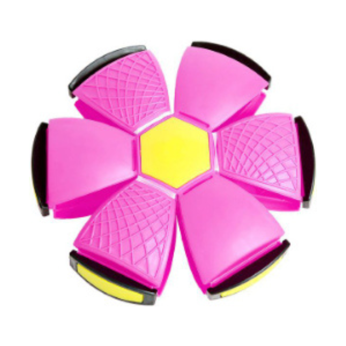 Fun Interactive Bouncing Ball Toy