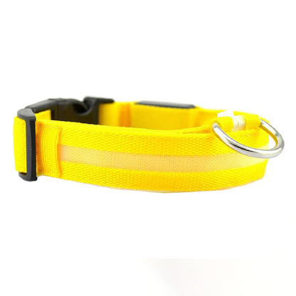 Glowing Rechargeable Pet Collar with LED Light